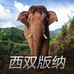 前河床体能教练：看马斯坦托诺踢球，会觉得足球其实很容易