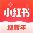 沃尔生涯仅4个赛季打过季后赛 18年连续受伤后再也没出战过季后赛